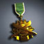 Insurgent Forces Special Service Medal